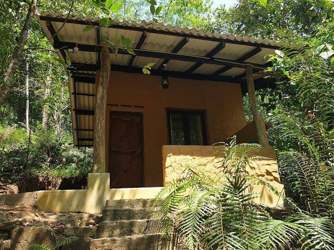 Rainforest retreat