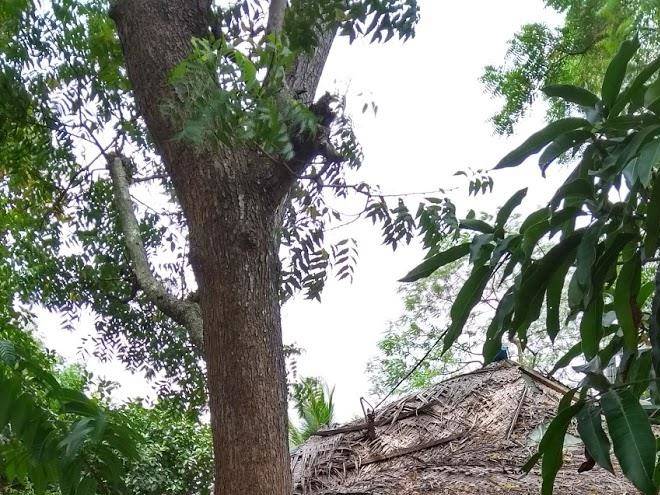 River Glamping By Gaga Bees Image