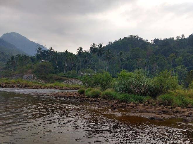 Riverlife eco resort