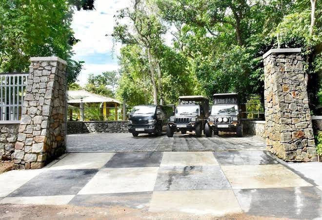 Safari queens resort