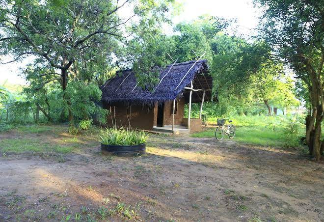 Sandalu eco resorts kithulgala