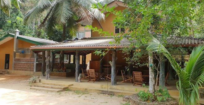 Sinharaja adventure resort