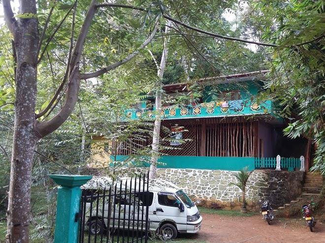 Sinharaja green heaven guest