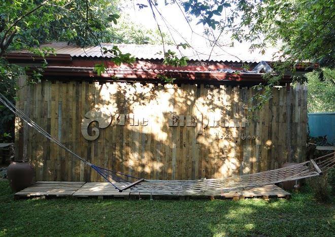 Elephant next door resort