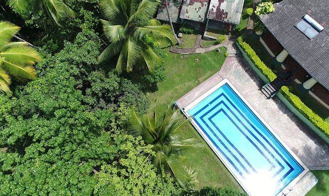 Tulip of ceylon nature resort