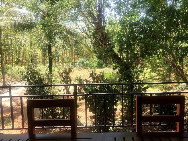 Wild heaven udawalawe