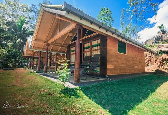 360 Rainforest Image