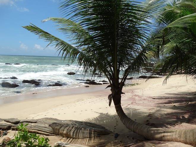 Around sri lanka travel & tours