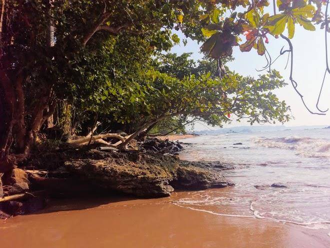 Bimanjee mango resort