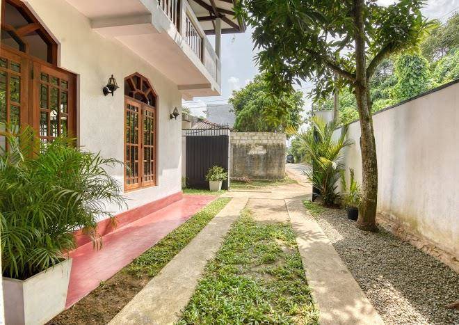 Blue lotus galle