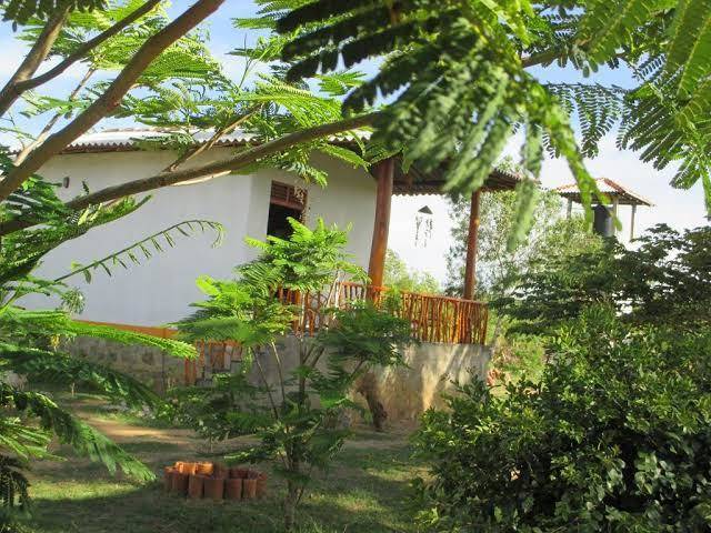 Coconut Island Image