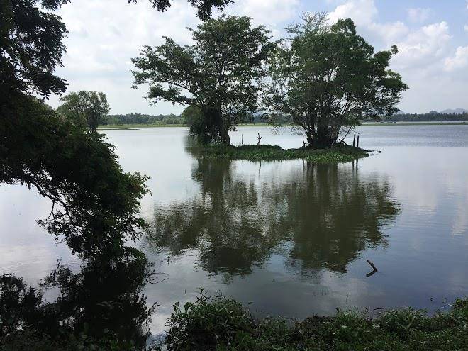 Cormorant lake resort
