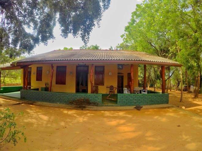 Dark horse resort yala