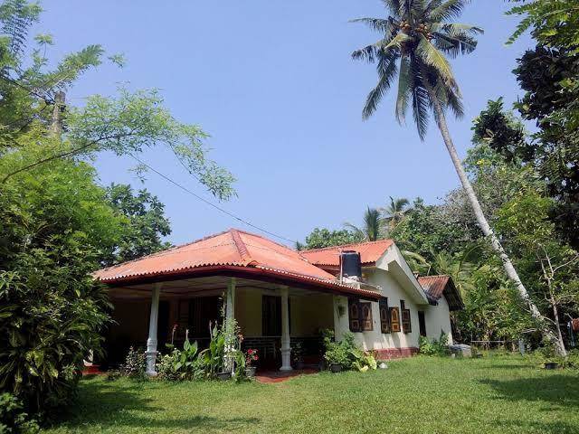 Dreams garden