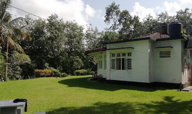 Eco Jungle Hideout Image