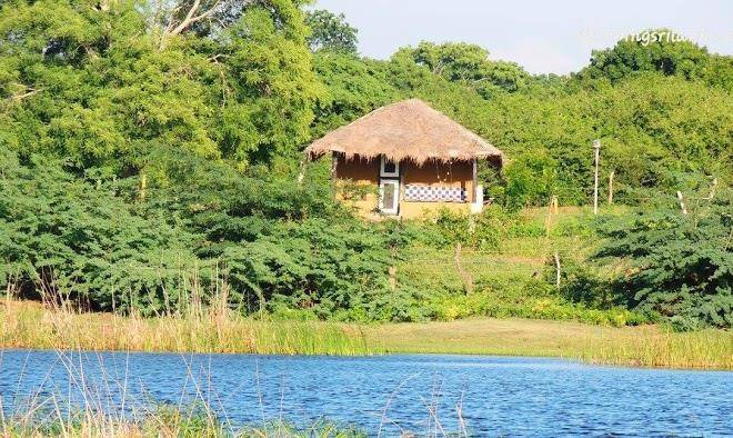 Glamping ceylon