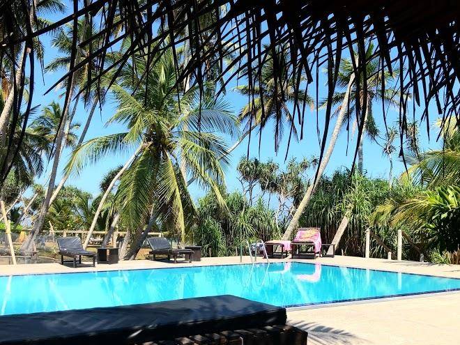 Golden coconut cabanas