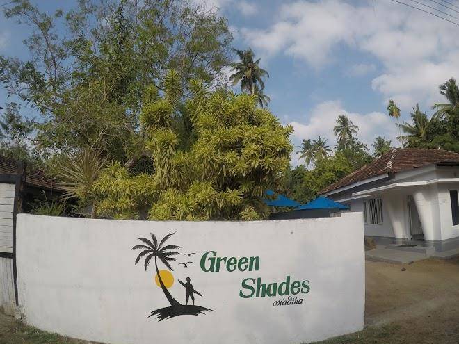 Green Shades Madiha Image