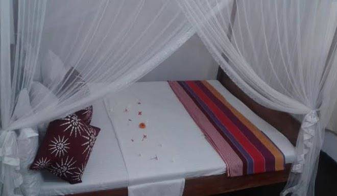 Happy holiday guest