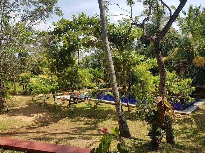 Hidden garden