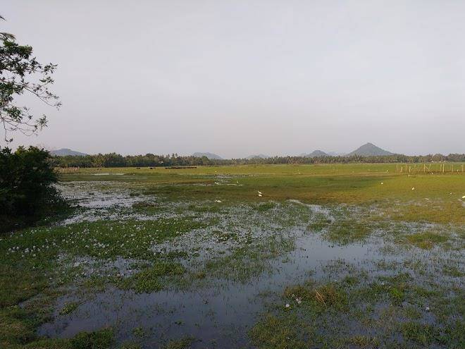 Janaka safari homestay