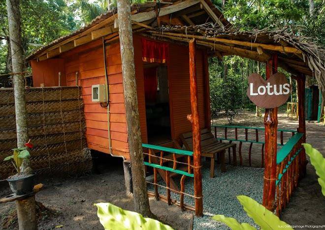 Jungle Paradise Image