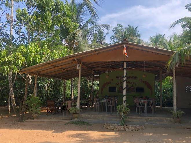 Jungle restaurant