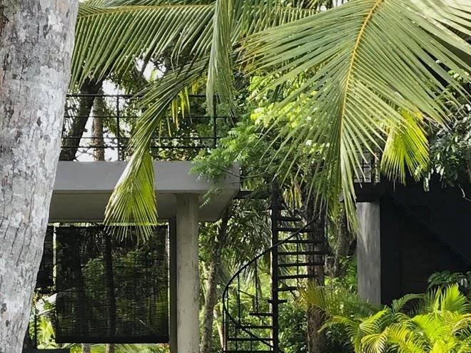 Kaju green eco lodges