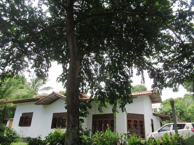 Kalindu Residence Image