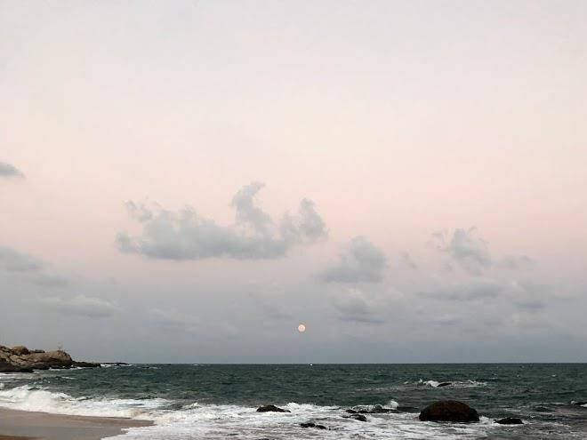 Kamlo Beach Resort Image