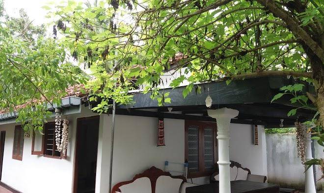 Madiha surf resort
