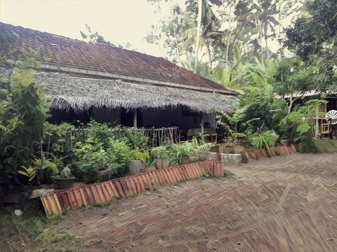 Banana Leaf Garden Image