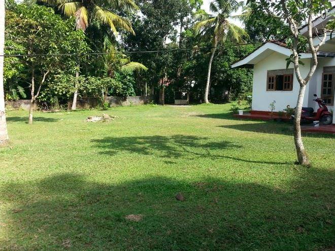 Nature zone