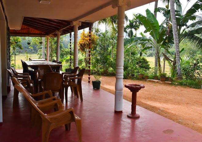 Rainforest Holiday Inn Image