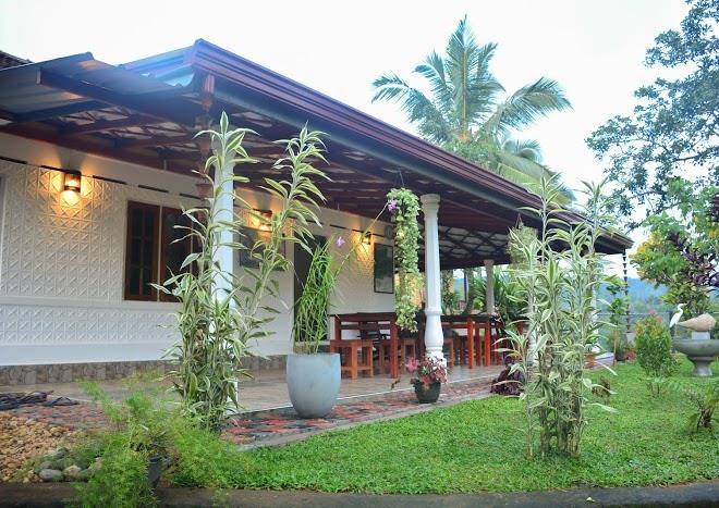 Rainforest mount lodge