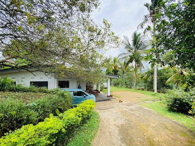 Richiland tea estate bungalow