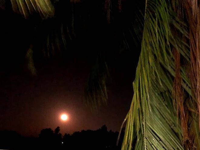 Safari land breeze resort