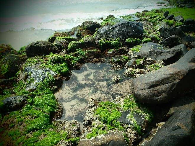 Sarasavi Resort Image