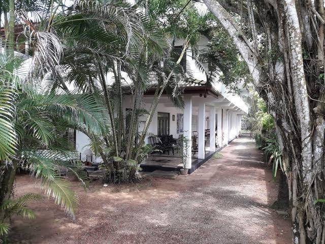 Sea Front Hikkaduwa Sri Lanka Image