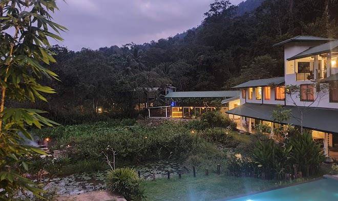Sinharaja forest edge