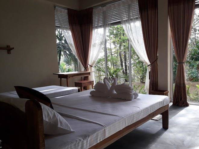 Sinharaja kurulu ella eco resort