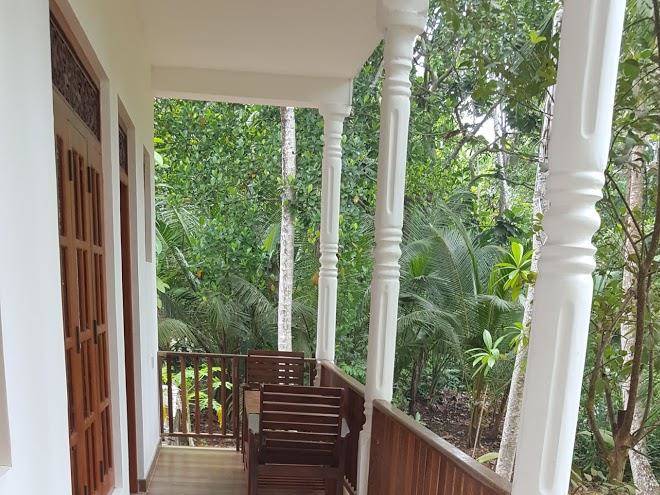 Sun creek hikkaduwa