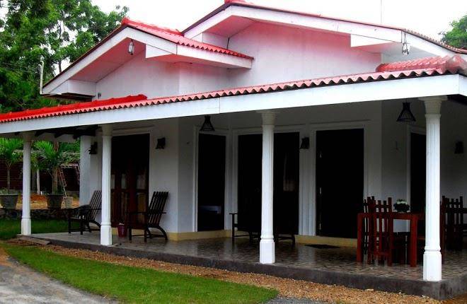 The monarch yala