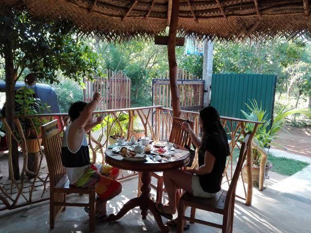 Turtle Paradise Image