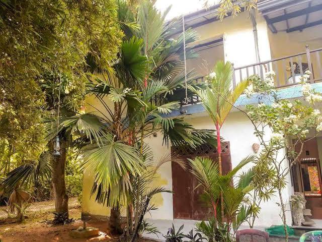 Unawatuna Honey Packers Image