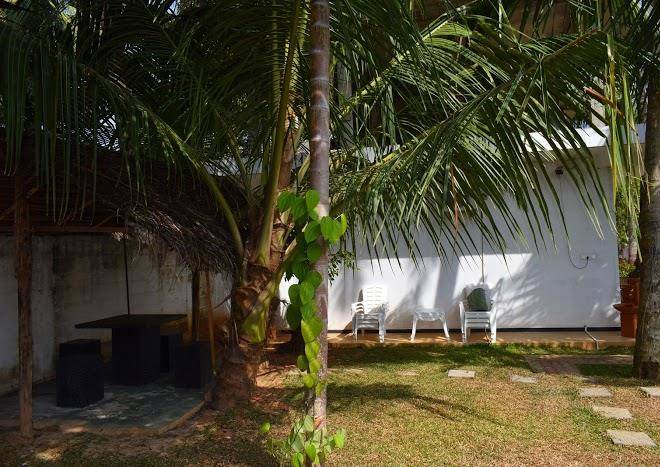 White Lion Paradise Image