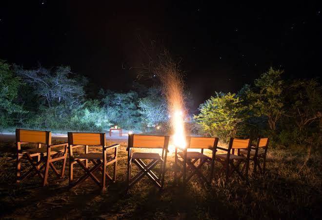 Wild trails yala