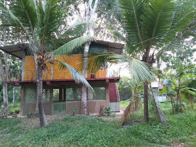 Wooden paracosm & resort