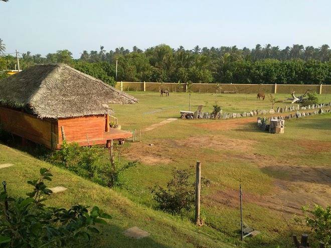 Yala bay resort