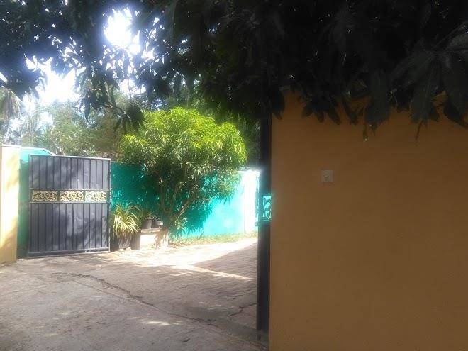 Yala best safari hotel